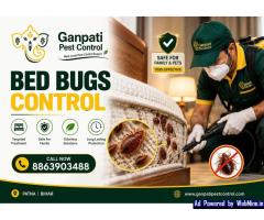 Best termite control company in Patna