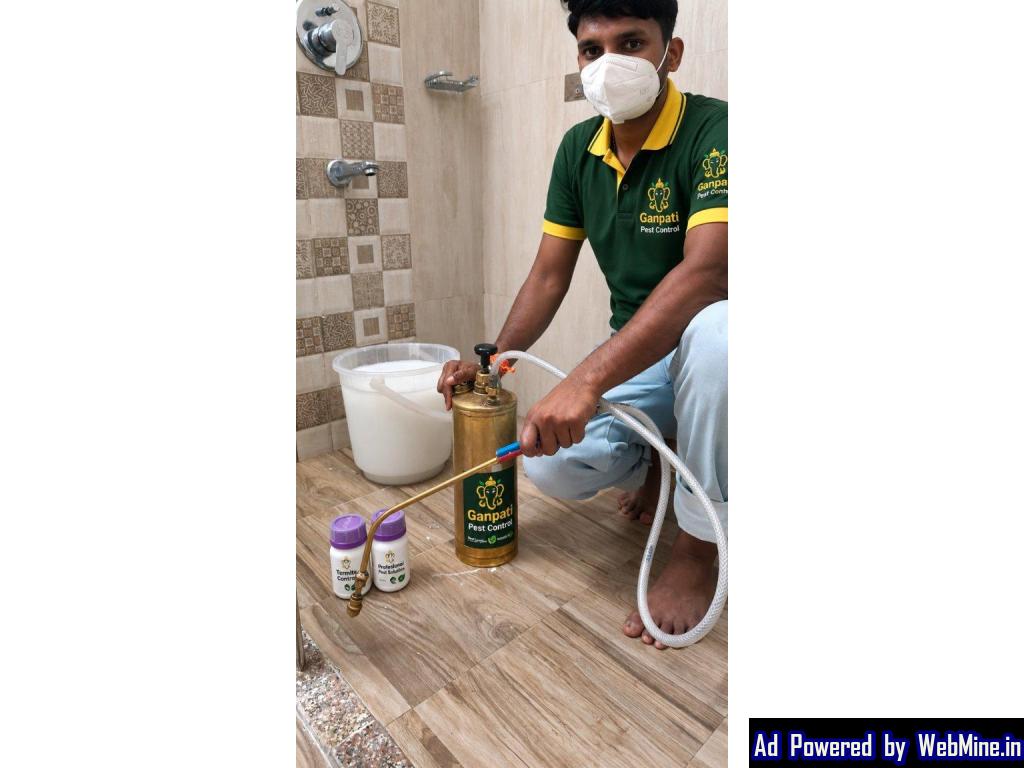 Best pest control Company in Patna