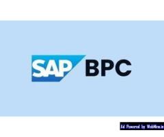 Want to Master Modern Billing? Discover SAP BRIM Training in GoLogica